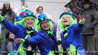 Rosenmontag in Naumburg 2019 in 4K von tubehorst1 [upl. by Aihseya811]