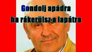 Hofi Géza  Gondolj apádra Karaoke [upl. by Quiteria921]