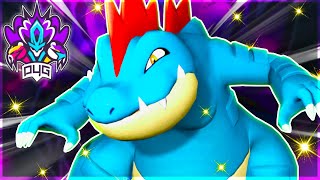 THIS MOVE MAKES FERALIGATR A MONSTER  Pokemon Draft League  P4G [upl. by Ahseila]