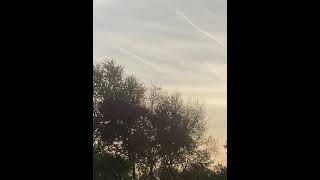 😡still aerosol injecting clouds Our blue sky is now quothazy greyquot 103024 Wilmington DE [upl. by Annerb]