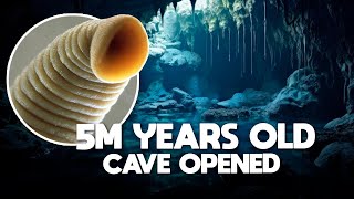 Amazing 5MillionYearOld Cave Opened and Found These Living Creatures [upl. by Volney]