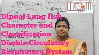 Dipnoi Lung fish ExternalInternal features Classification and Circulatory Respiratory system [upl. by Notrom]