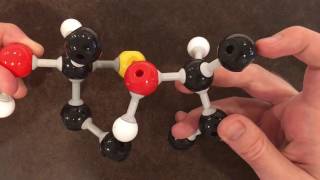 Sn2 mechanism stereospecificity [upl. by Katrina578]