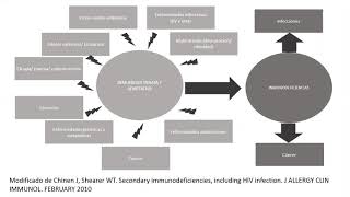 Inmunodeficiencias parte 1 [upl. by Nnyliram46]