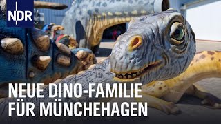 Themenpark Münchehagen Neue Saurier für den Dinopark  Die Nordreportage  NDR Doku [upl. by Pallaten]