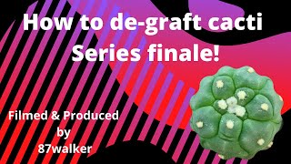 How To DeGraft Cacti  Series Finale [upl. by Seften]