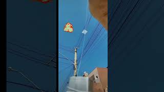 World🌎Smallest Kite Ever Small Patang Flying Kite Lover❤️shorts patangflying small kite viral [upl. by Ikin644]