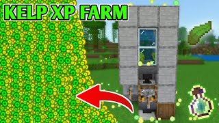 How To Make an Easiest KELP XP Farm in Minecraft Bedrock Survival World 120 [upl. by Etteoj]