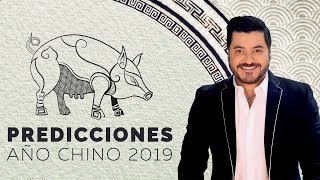 PREDICCIONES AÑO CHINO DEL CERDO 2019 [upl. by Imot822]