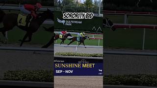 Sorority Bid and Miguel Vásquez winning the first race GulfstreamPark SunshineMeet [upl. by Skolnik]