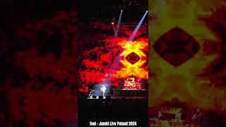 Tool  Jambi Live Poland 2024  Kraków  Cracow  Tauron Arena [upl. by Benetta]