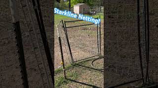 Starkline netting poultry gate starklinenet chickens pasturedpoultry starklinenetting [upl. by Hagan]