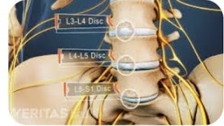 Understanding the Lumber nerve L4  anatomy and function [upl. by Deirdre357]