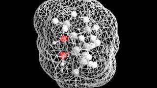 23 dimetil 23 pentanodiol [upl. by Ferneau]