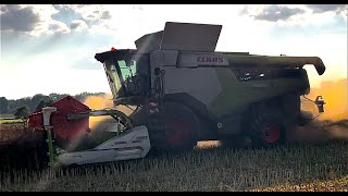 Sklizeň řepky olejné  Zeas Podorlicko as  Claas lexion 7600 760tt [upl. by Letsirk]