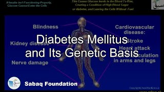 Diabetes Mellitus and Its Genetic Basis Biology Lecture  Sabaqpk [upl. by Call]