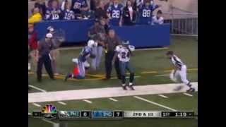 Reggie Wayne Highlights [upl. by O'Gowan501]