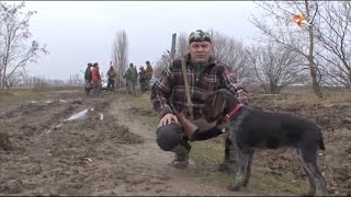 Natură şi aventură Vânătoare de iepuri şi fazani [upl. by Kavanagh]