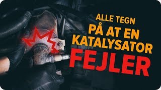 Hvordan man kontrollerer en katalysator  AUTODOC tips [upl. by Ilrahs67]