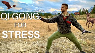 Qigong for Stress  Building Resilience  Wood Element Chi Kung for Stress Anger Manic Depression [upl. by Cord325]