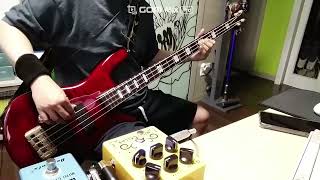 Girls Girls Girls  Motley Crue Bass Cover [upl. by Constant]