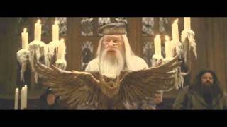 Youtube Poop Huntube Poop  Harry Herceg és a Félvér Potter [upl. by Frierson]