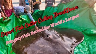 Stingray Found Record for Worlds Largest  Expert Fish Cutter Break Down Cutting Make Slice [upl. by Retniw]