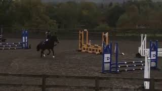 4 year old pony  65cm Show Jumping Course [upl. by Addy]