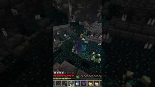 Warden Unveils Feinbergs Secret Plan in Minecraft Minecraft en [upl. by Nonah]