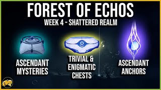 Shattered Realm Forest of Echoes  Ascendant Trivial Enigmatic Mysteries Anchors  Destiny 2 [upl. by Dnaletak]