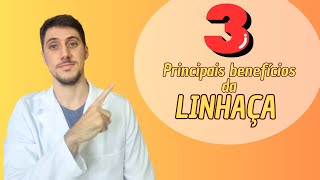 3 PRINCIPAIS benefícios da linhaça nutricionista [upl. by Sitoiyanap]