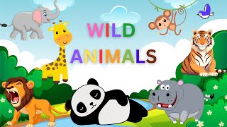 Wild Animals  Learn wild animals names in English  Kids vocabulary  English Educational Video [upl. by Cleti]