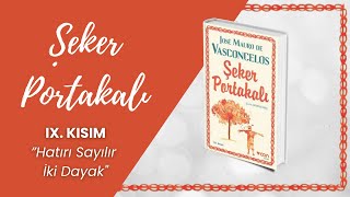 Şeker Portakalı Sesli Kitap  9 BÖLÜM  Jose Mauro de Vasconcelos [upl. by Akissej]