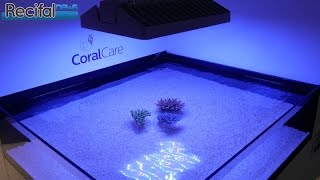 Présentation de la rampe LED CoralCare de Philips [upl. by Asillem203]