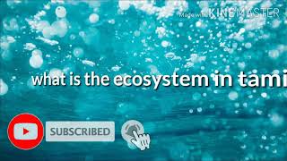 What is ecosystem explain in Tamilteaching channel [upl. by Divd]