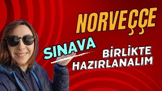 NORVEÇÇE SINAVA NASIL ÇALIŞIYORUMHERŞEYE NASIL YETİŞİYORUMNORVEÇÇE İÇİN TÜYOLARnorway vlog [upl. by Trow]