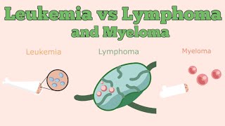 Leukemia vs Lymphoma vs Myeloma [upl. by Winston]