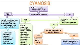 CYANOSIS In pediatrics [upl. by Nic]