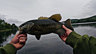 SO MANY BIG BASS in ONE SPOT Rigging Tip [upl. by Aknahs]