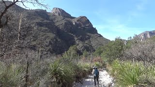 McKittrick Canyon 2024 Guadalupe Mtns Natl Park [upl. by Ahola512]