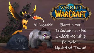 World of Warcraft Secrets Battle for Incognitro the Indecipherable FelcycleUpdated Team [upl. by Yzdnil859]