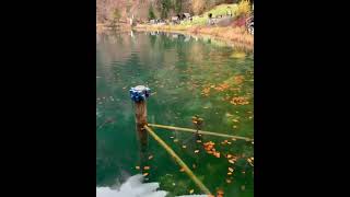 Blausee🍂🐟🍁travel foryou funny fypシ゚viral zivotulinzu lebeninlinz [upl. by Armbruster940]