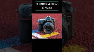 TOP 5 BEST DSLR CAMERAS 2024 [upl. by Neerihs]