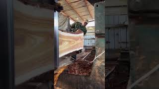 Processing yellow pine wood [upl. by Placidia]