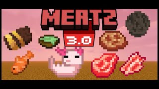 Meatz V3 Addon For MCPE 12130 [upl. by Davilman12]