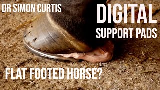 Treating a Horse With Low Heels  Using Digital Support Pads Farriery Tutorial [upl. by Walden]