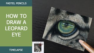 How to draw a leopard eye with pastels  Sabine Lackner Fine Art  Timelapse [upl. by Adria]