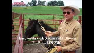 Harry Whitneys Horsemanship Clinics [upl. by Hedvige]