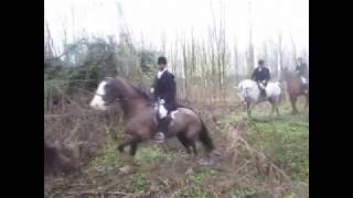 Suir Vale Harriers Hunt Rahaelty Jan 2017 [upl. by Atiuqehs]