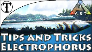 Fast Electrophorus Taming Guide  Ark  Survival Evolved Tips and Tricks [upl. by Uhej887]